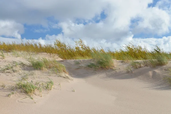 Dune на пляжі — стокове фото