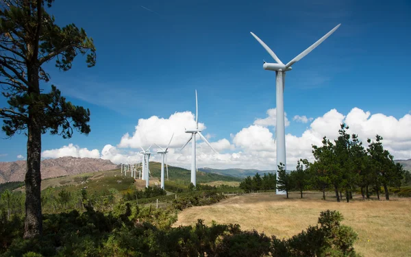 Centrale éolienne — Photo