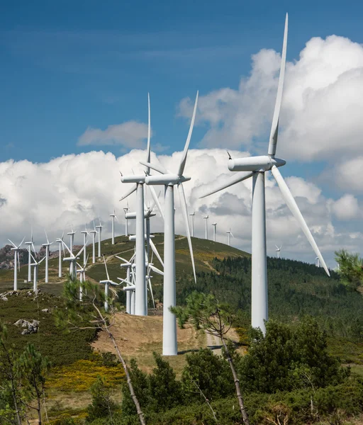 Wind power plant — Stock Photo, Image