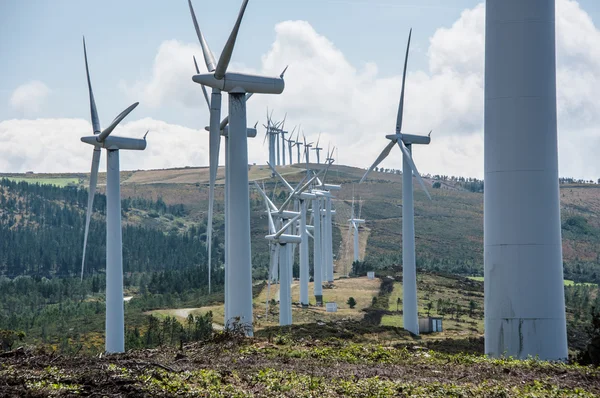 Centrale éolienne — Photo