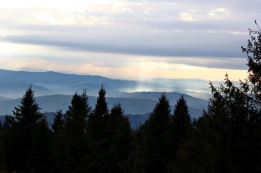 Görünümünden Cwilin tepe - Beskid Wyspowy, Polonya