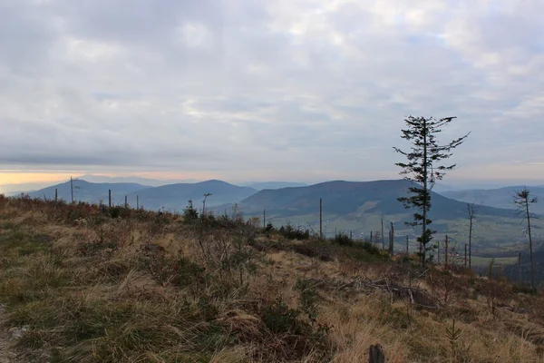 Cwilin 피크-Beskid Wyspowy, 폴란드에서에서 보기 — 스톡 사진