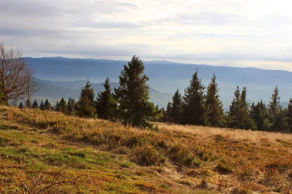 Widok ze szczytu Cwilin - Beskid Wyspowy, Polska — Zdjęcie stockowe