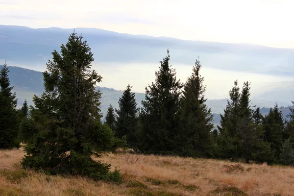 Вид с Cwilin Peak - Ребенок Вышповы, Польша — стоковое фото