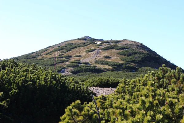 Uitzicht vanaf Babia Gora, Beskidy, Polen — Stockfoto