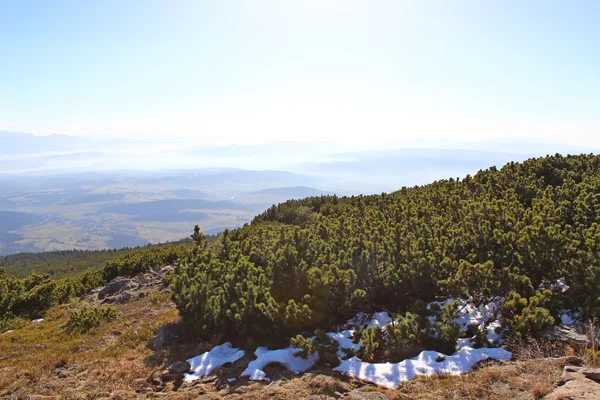 Babia 強羅、Beskidy、ポーランドからの眺め — ストック写真