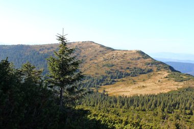 Mala Babia Gora, Beskidy, Polonya
