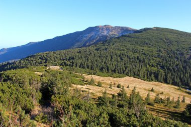 Görünümden Babia Gora, Beskidy, Polonya