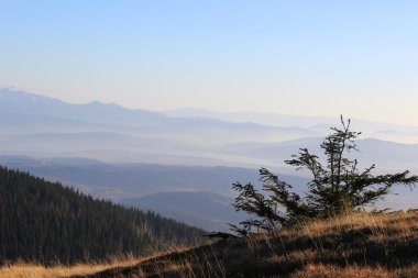 Görünümden Babia Gora, Beskidy, Polonya