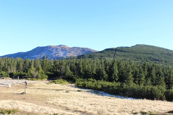 Blick von babia gora, beskidy, poland — Stockfoto