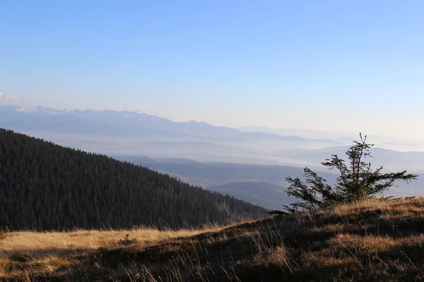 Pohled z Babia Góra, Beskydy, Polsko — Stock fotografie