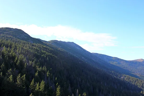 Görünümden Babia Gora, Beskidy, Polonya — Stok fotoğraf