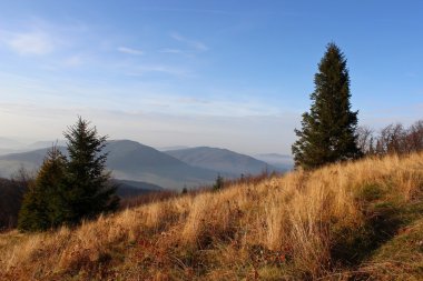 Mogielica tepe - Beskid Wyspowy, Polonya