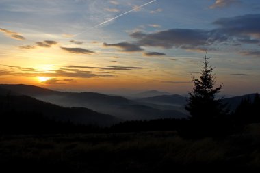 Mogielica tepe - Beskid Wyspowy, Polonya