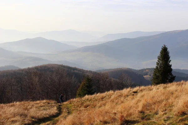 Mogielica Peak - Beskid Wyspowy, Poland — Stock Photo, Image