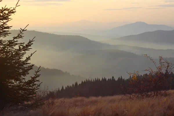 Mogielica tepe - Beskid Wyspowy, Polonya — Stok fotoğraf