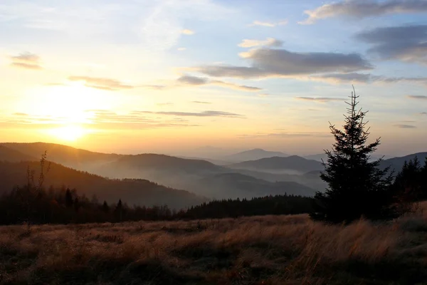 Mogielica Peak - Beskid Wyspowy, Polónia — Fotografia de Stock