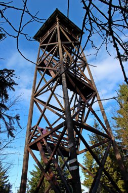 Mogielica tepe - Beskid Wyspowy, Polonya