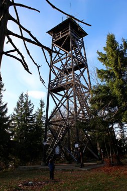 Mogielica tepe - Beskid Wyspowy, Polonya