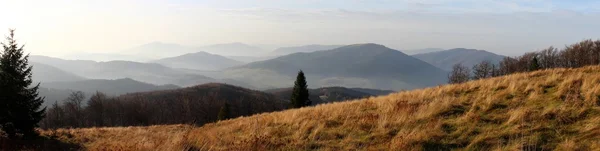 Mogielica Peak - Beskid Wyspowy, Polonia — Foto Stock