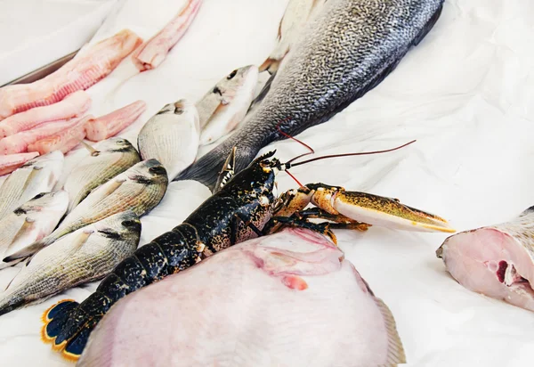 Fresh lobster, fish and seafood at fish market — Stock Photo, Image