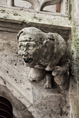 Gotik gargoyle üzerinde Belediye marienplatz, Münih, Almanya