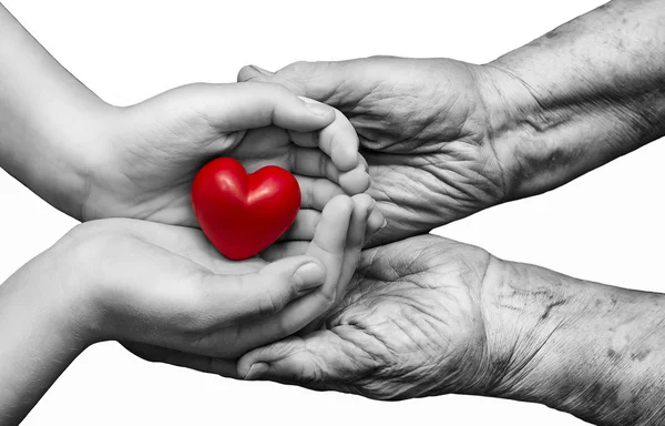 Little girl and elderly woman keeping red heart in their palms t — Stock Photo, Image