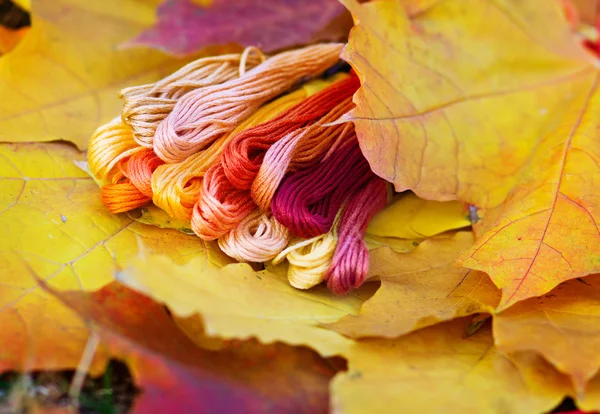 Colores de otoño, hilos multicolores parece hojas de otoño — Foto de Stock