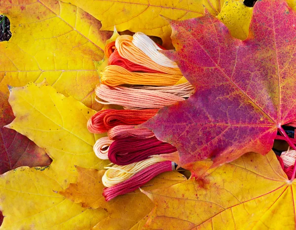 Colori dell'autunno, filati multicolore sembra foglie autunnali — Foto Stock