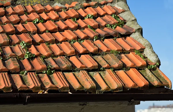 Detail of red roof tile of old town — Stock Photo, Image
