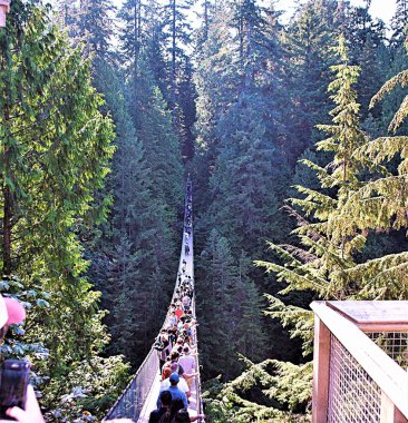 Kuzey Vancouver bölgesindeki Capilano Nehri 'ni geçen basit bir asma köprü. Şu anki köprü nehrin 140 m / 460 'uzunluğunda, 70 m / 230' yukarısında. Köprü, İskoç inşaat mühendisi George Grant Mackay tarafından 1889 yılında inşa edilmiştir.. 
