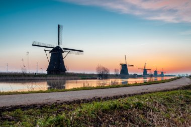 Hollanda'da doğal