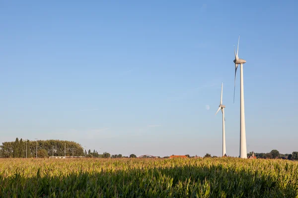 Moon whit windmill — Stock Photo, Image