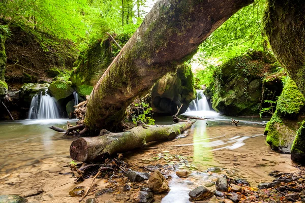 River beside a large boulder — Stock Photo, Image