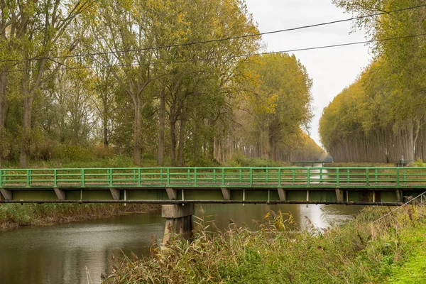 Puente Muchos Árboles Largo Del Río Hermoso Día Otoño — Foto de Stock