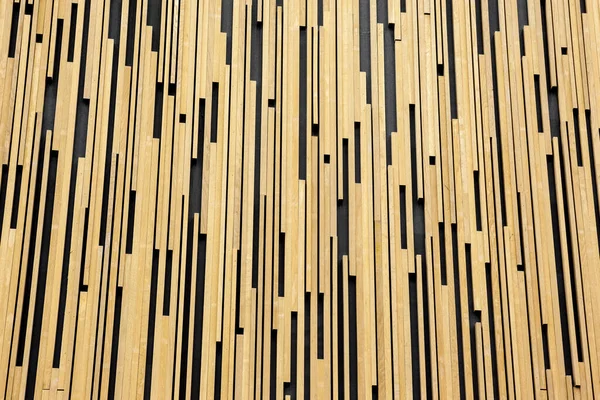 Den Wänden Eines Auditoriums Befinden Sich Holzlatten — Stockfoto