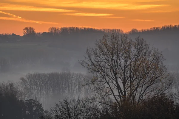 Este Hermoso Amanecer Con Niebla Entre Los Árboles Durante Otoño —  Fotos de Stock