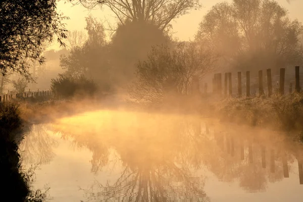 11月の朝 この霧が牧草地や木々に沿って川にかかっています — ストック写真