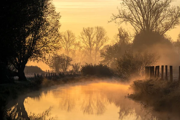 Sonbaharda Bir Kasım Sabahı Sis Çayırda Ağaçlarda Nehrin Üzerinde Asılı — Stok fotoğraf