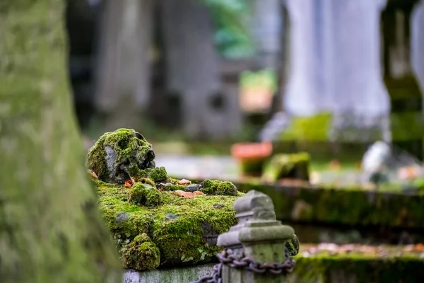 Hřbitově Nebo Hřbitově Lebka Mechem Náhrobku Rezavým Ocelovým Řetězem — Stock fotografie