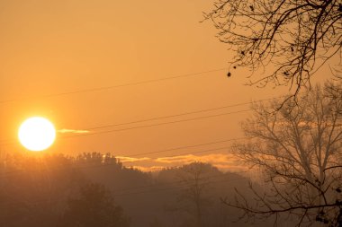 Sonbahar boyunca ağaçların arasında sisli güzel bir gün doğumu.