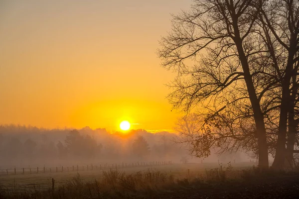Dieser Wunderschöne Sonnenaufgang Mit Nebel Zwischen Den Bäumen Herbst — Stockfoto