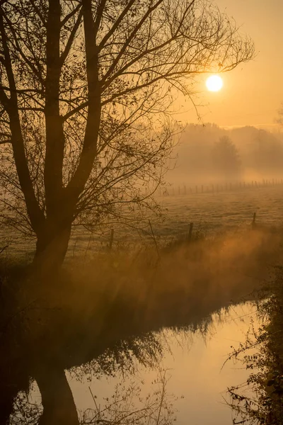 Beau Lever Soleil Avec Brouillard Entre Les Arbres Pendant Automne — Photo