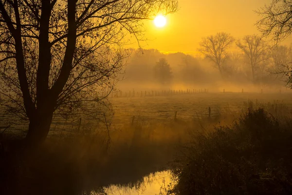 Este Hermoso Amanecer Con Niebla Entre Los Árboles Durante Otoño —  Fotos de Stock