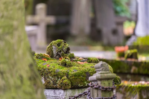 Hřbitově Nebo Hřbitově Lebka Mechem Náhrobku Rezavým Ocelovým Řetězem — Stock fotografie