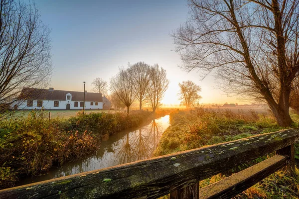 Este Hermoso Amanecer Con Niebla Entre Los Árboles Durante Otoño —  Fotos de Stock