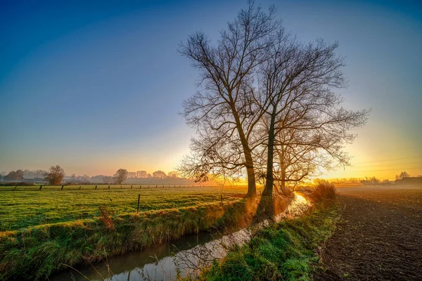 Este Hermoso Amanecer Con Niebla Entre Los Árboles Durante Otoño —  Fotos de Stock