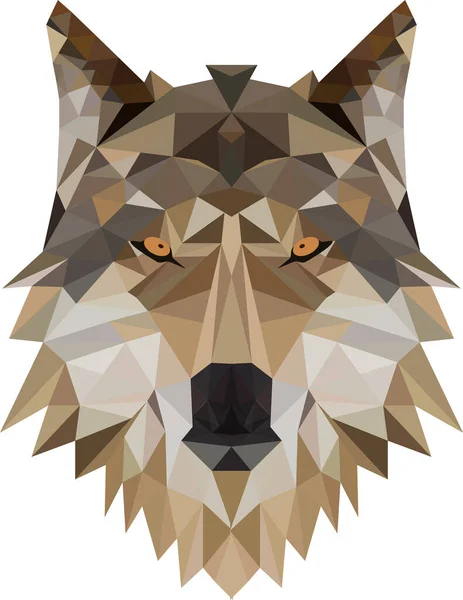 Tête Loup Cubes Triangulaires Une Règle Dans Les Bois — Image vectorielle