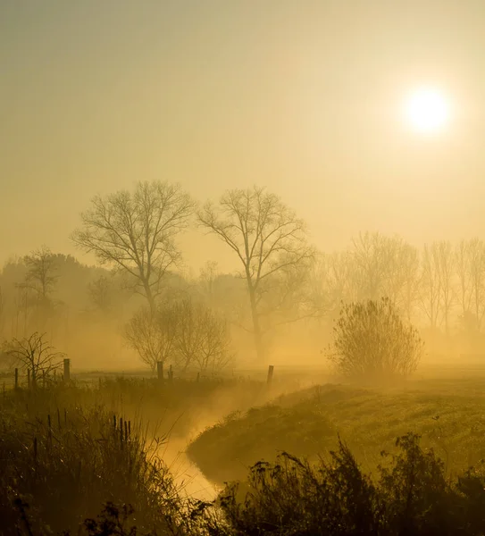 Beau Lever Soleil Avec Brouillard Entre Les Arbres Pendant Automne — Photo