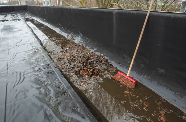 Gouttière Toit Plat Est Pleine Débris Des Arbres Tels Que — Photo